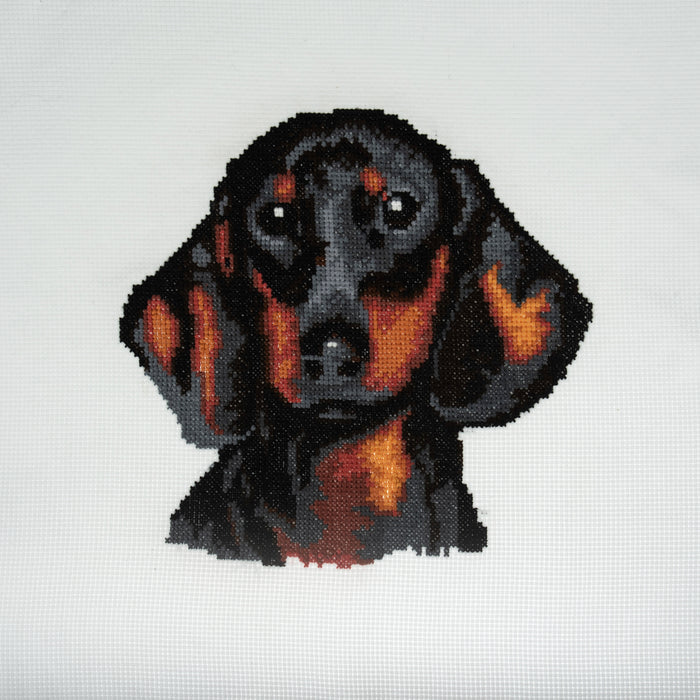 Trimits Counted Cross Stitch Kit Large: Dachshund, 36x36cm, Includes Aida Fabric, Pre-Sorted Threads, Needle, Personalizing Alphabet, I...