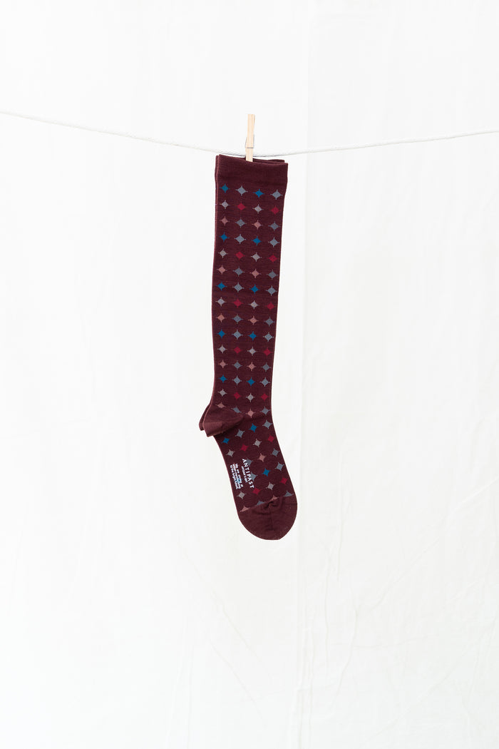 Antipast Big Circle Compression High Sock