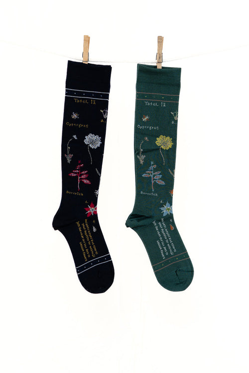 Antipast Botanical XVII Compression Women's Socks
