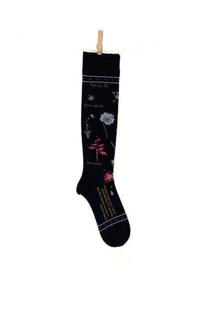 Antipast Botanical XVII Compression Women's Socks