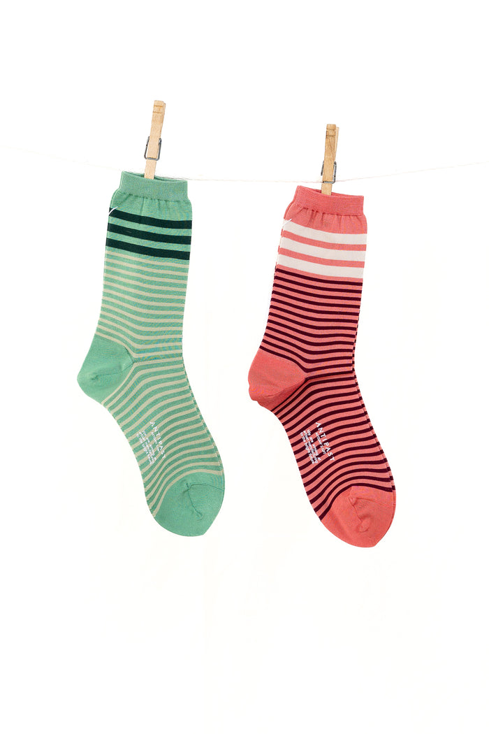 Antipast Color Border Women's Socks