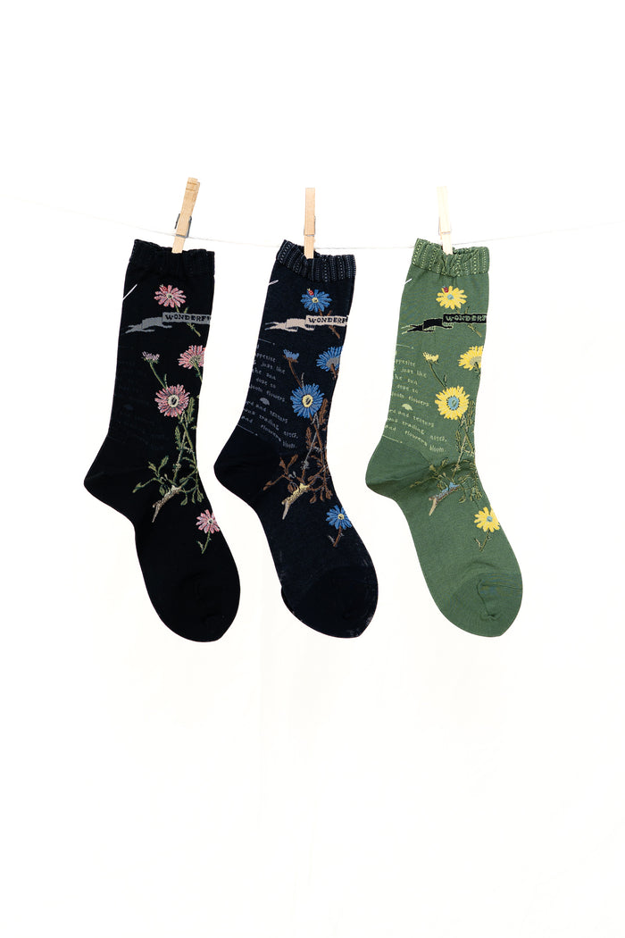 Antipast Margaret II Women's Socks