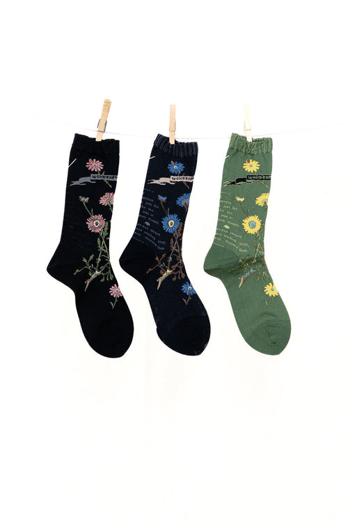 Antipast Margaret II Women's Socks
