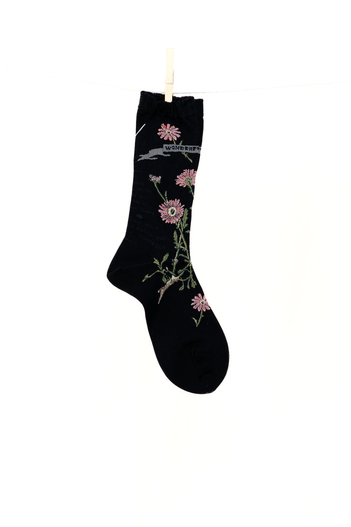 Antipast Margaret II Women's Socks