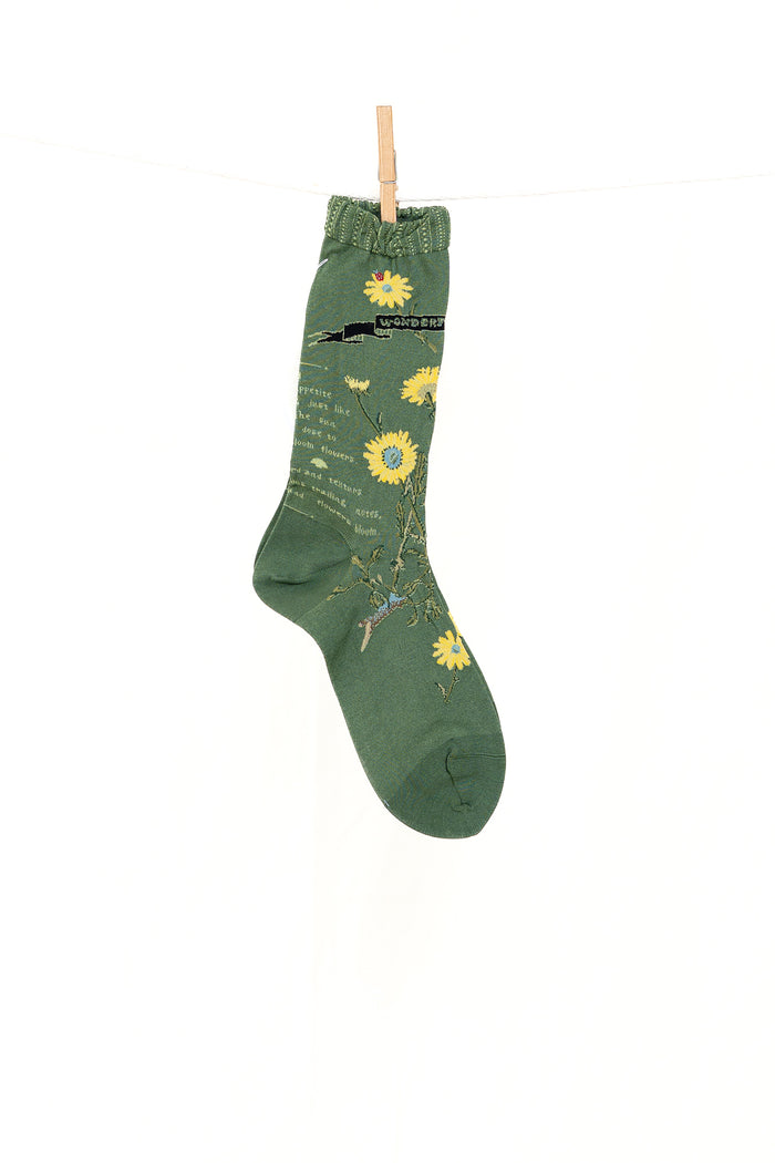 Antipast Margaret II Women's Socks