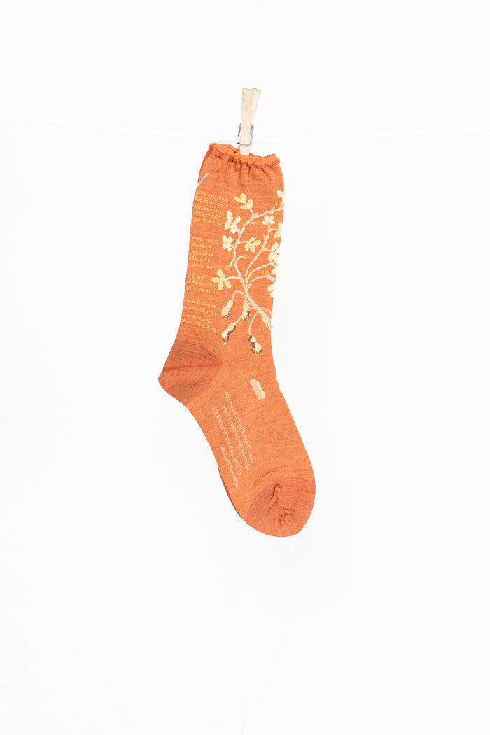 Antipast Peanut Tree Women's Socks