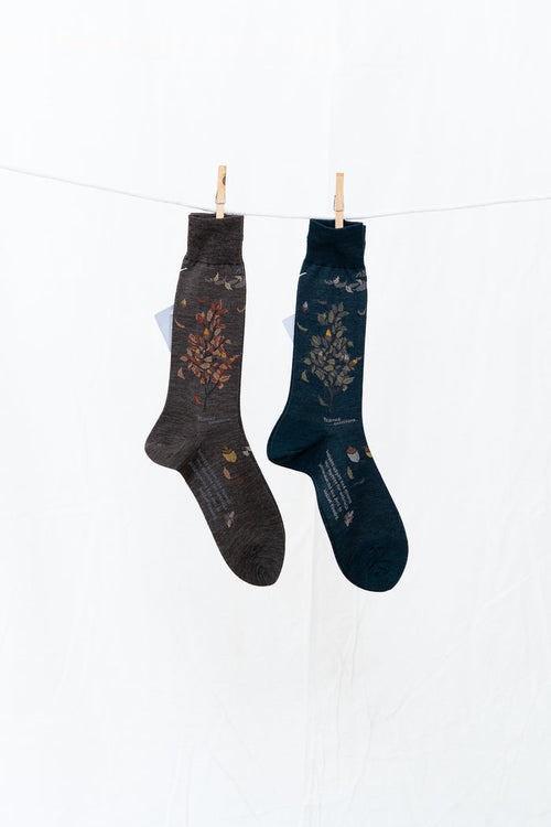 Antipast Wind and Acorn Men's Socks