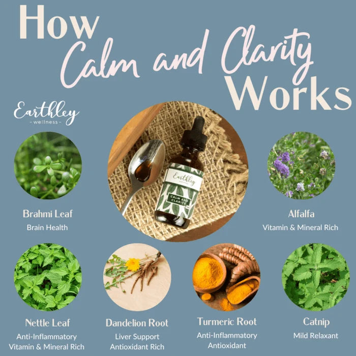 Calm and Clarity Tincture | 4 oz