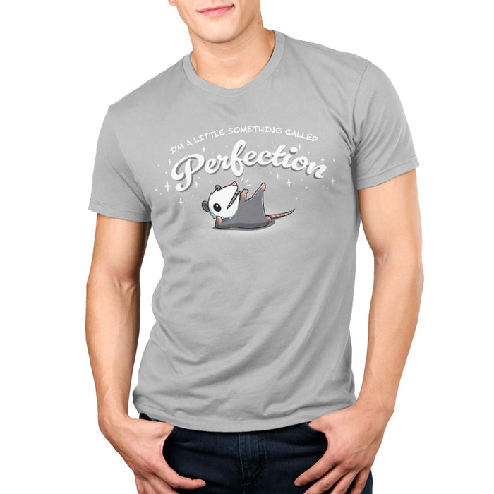 Premium Cotton T-shirt_TeeTurtle silver gray I Am Perfection apparel featuring an opossum lying down propped up on its elbow with a front paw and back paw up in the air with the caption, “I’m a little something called perfection”.