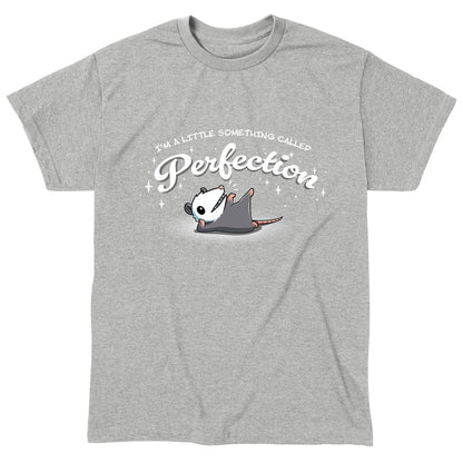 Classic Cotton T-shirt_TeeTurtle heather gray I Am Perfection apparel featuring an opossum lying down propped up on its elbow with a front paw and back paw up in the air with the caption, “I’m a little something called perfection”.