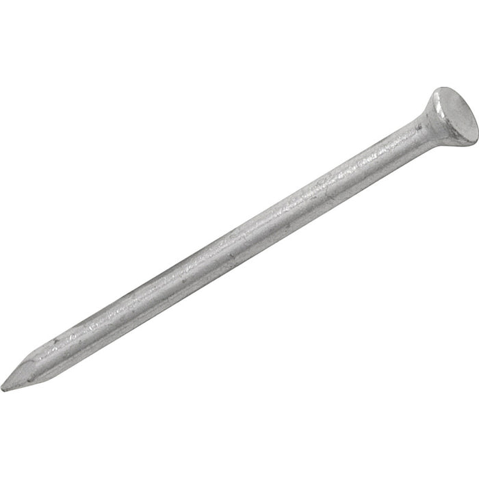 Masonry Nails (Assorted)