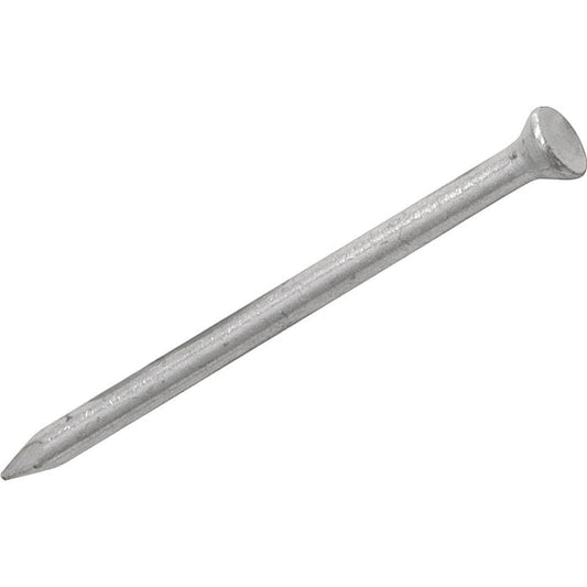 Masonry Nails (Assorted)