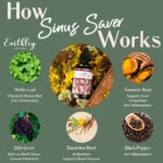 Sinus Saver Tincture 2oz., 4oz. (Alcohol-Free)