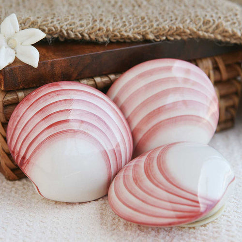 ThermaBliss Ceramic Codacia Shells 2-Pack Hand-painted ceramic massage shells Thermal ceramic massage shells for spa treatments Non-porous ceramic massage shells Warm and chilled therapy ceramic shells Professional thermabliss ceramic massage tools