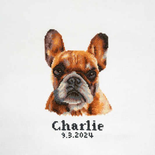 Trimits Counted Cross Stitch Kit Large: French Bulldog, 36x36cm, Includes Aida Fabric, Pre-Sorted Threads, Needle, Personalizing Alphab...