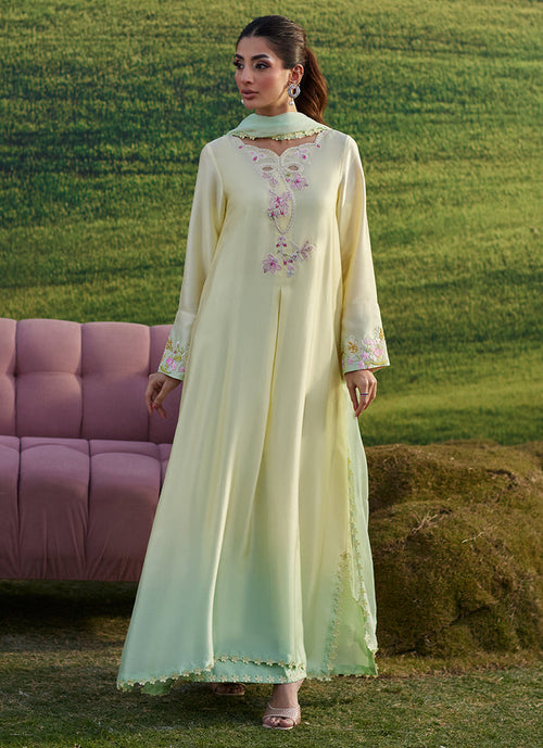 Xeina Shirt and Dupatta