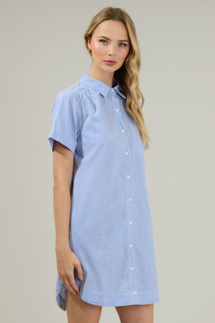 Zira Striped Kaylee Button Down Shirt Dress